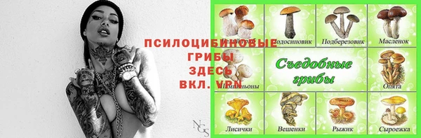 индика Баксан