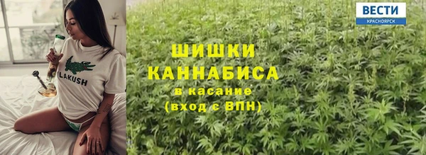 индика Баксан