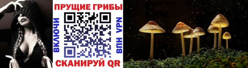 Галлюциногенные грибы MAGIC MUSHROOMS  Новоульяновск 
